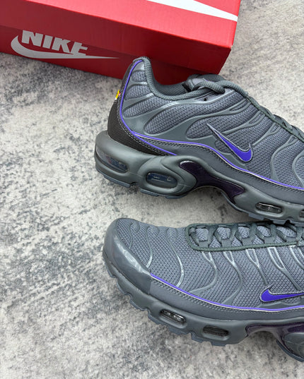 Nike Air Max TN Wild Grape