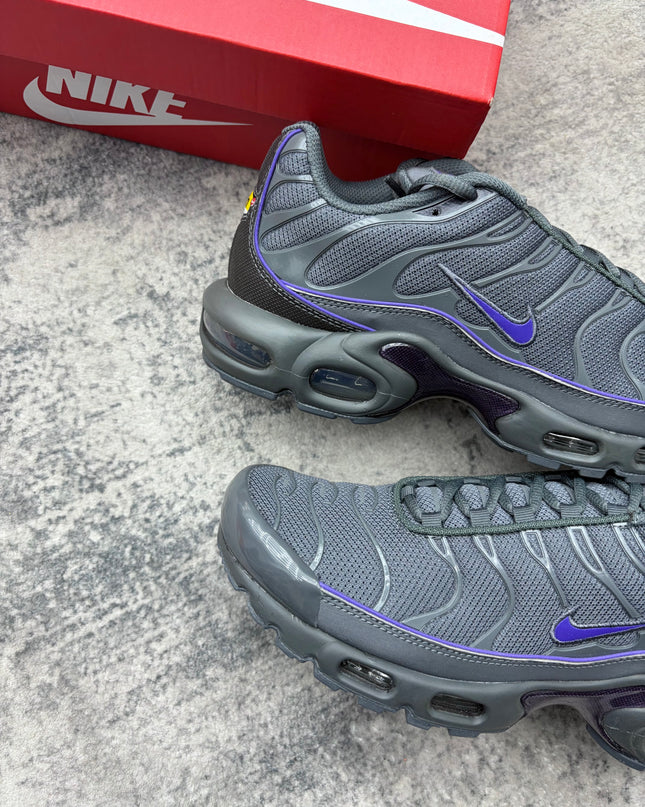 Nike Air Max TN Wild Grape
