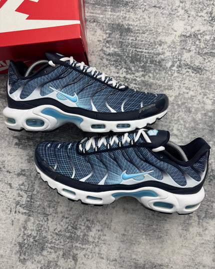 Pre Order: Nike Air Max TN - Blue Chill