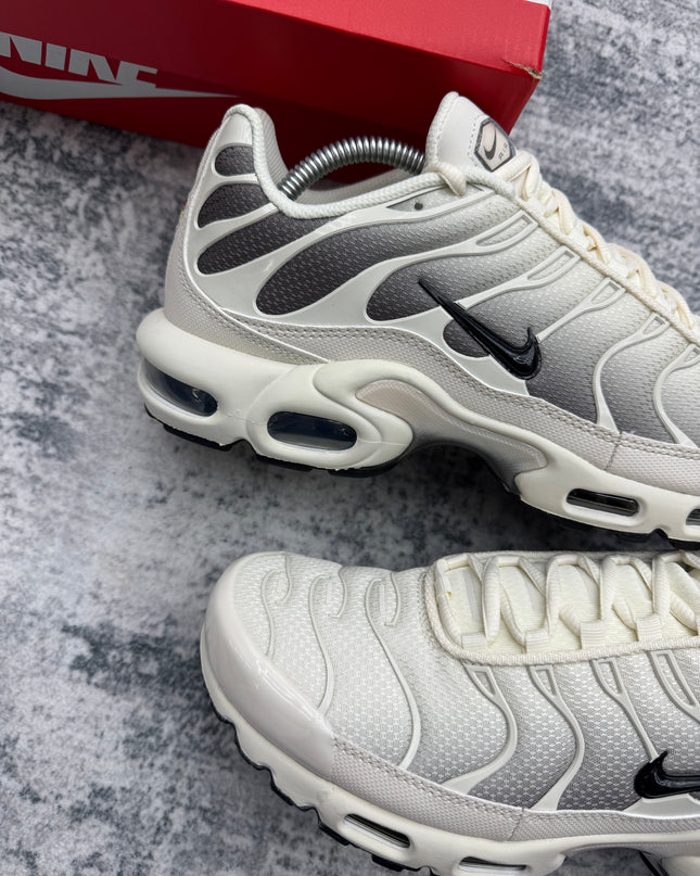 Pre Order: Nike Air Max TN Light Orewood